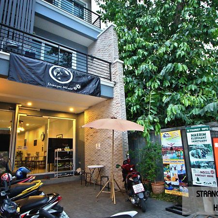 Stranger House Hostel Chiang Mai Bagian luar foto
